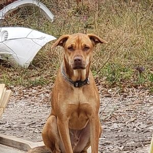 Meet your Posher, Hillary